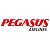 Pegasus Airlines